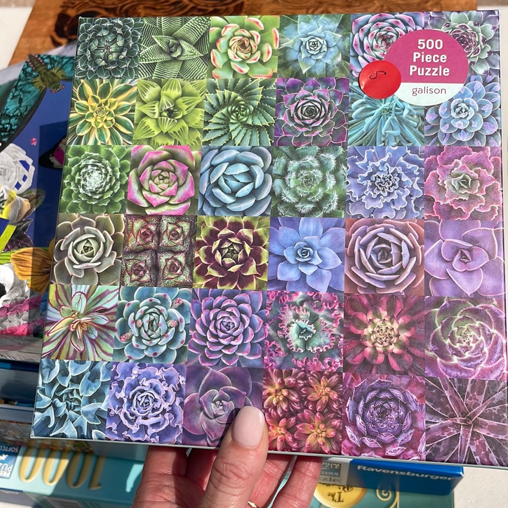 Puzzle- 500 pieces succulents